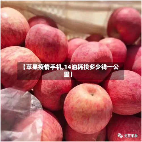 【苹果疫情手机,14油耗投多少钱一公里】