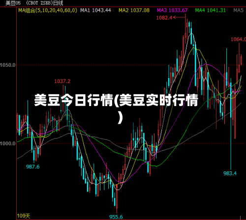 美豆今日行情(美豆实时行情)-第2张图片