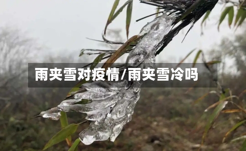 雨夹雪对疫情/雨夹雪冷吗-第2张图片