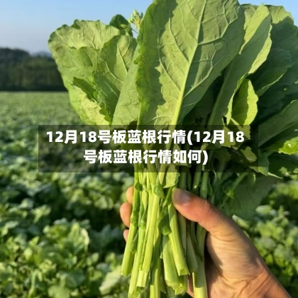 12月18号板蓝根行情(12月18号板蓝根行情如何)-第3张图片