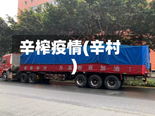 辛榨疫情(辛村)-第2张图片