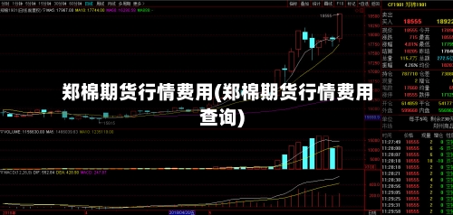 郑棉期货行情费用(郑棉期货行情费用查询)-第2张图片