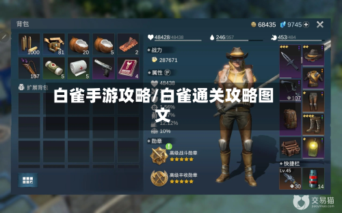 白雀手游攻略/白雀通关攻略图文-第2张图片