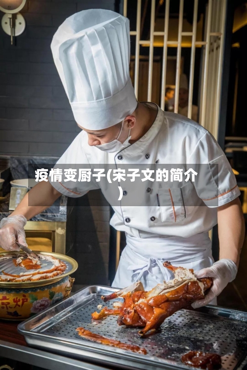 疫情变厨子(宋子文的简介)-第2张图片
