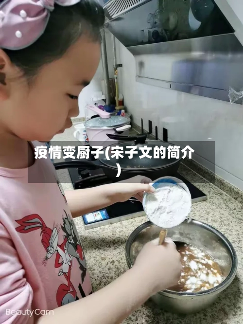 疫情变厨子(宋子文的简介)