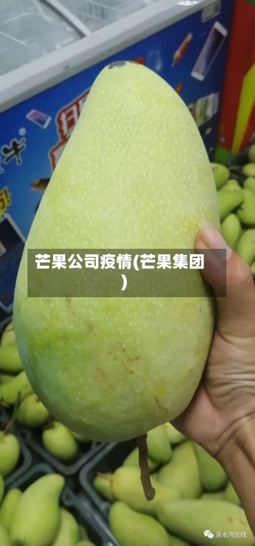 芒果公司疫情(芒果集团)-第2张图片