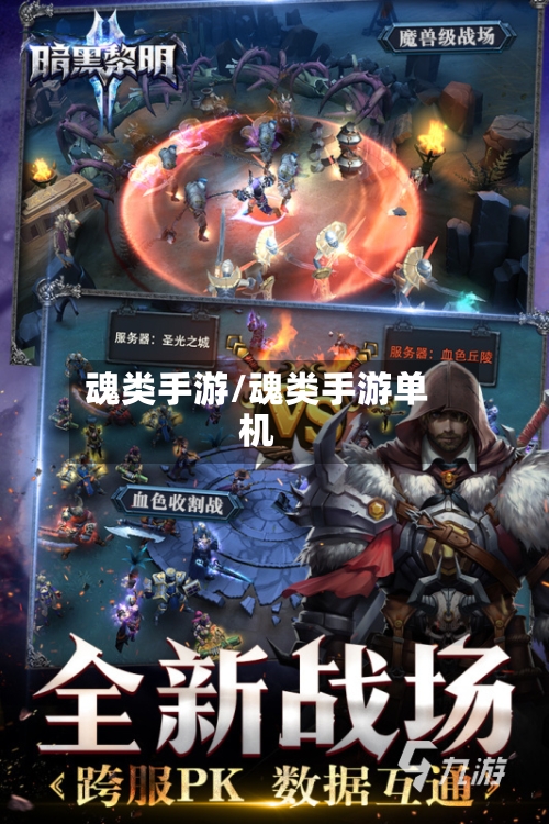 魂类手游/魂类手游单机