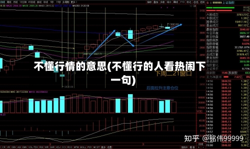 不懂行情的意思(不懂行的人看热闹下一句)-第2张图片
