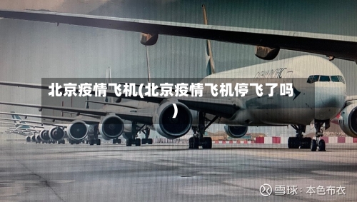 北京疫情飞机(北京疫情飞机停飞了吗)-第2张图片