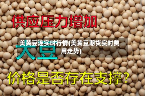 美黄豆连实时行情(美黄豆期货实时费用走势)