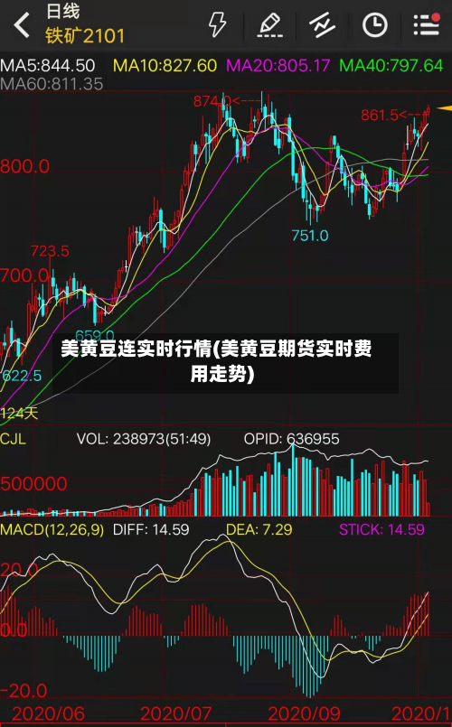美黄豆连实时行情(美黄豆期货实时费用走势)-第2张图片