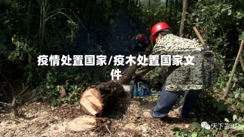 疫情处置国家/疫木处置国家文件