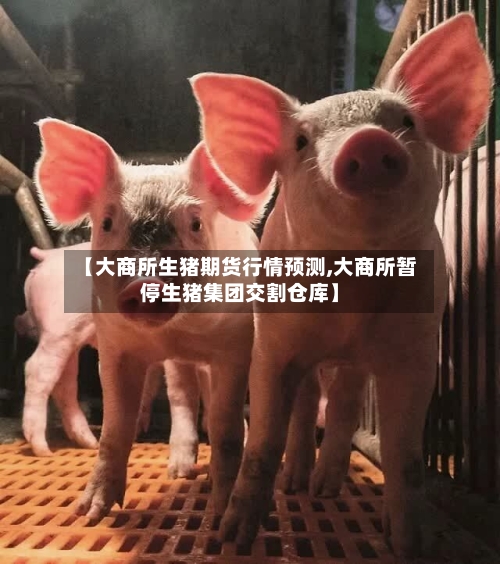 【大商所生猪期货行情预测,大商所暂停生猪集团交割仓库】-第2张图片