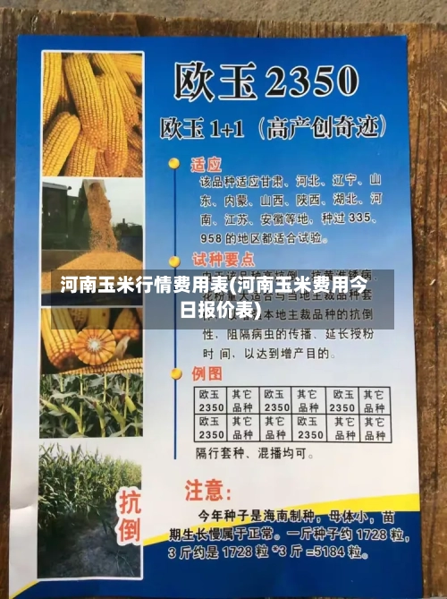 河南玉米行情费用表(河南玉米费用今日报价表)-第2张图片