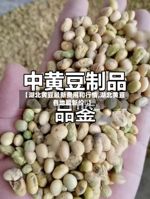 【湖北黄豆最新费用和行情,湖北黄豆各地最新价挌】-第3张图片