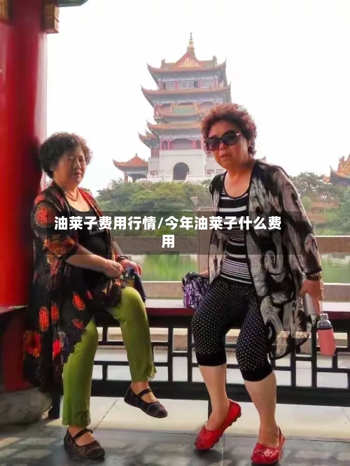油莱子费用行情/今年油莱子什么费用-第2张图片