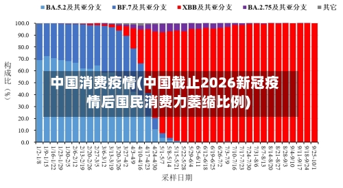 中国消费疫情(中国截止2026新冠疫情后国民消费力萎缩比例)-第3张图片
