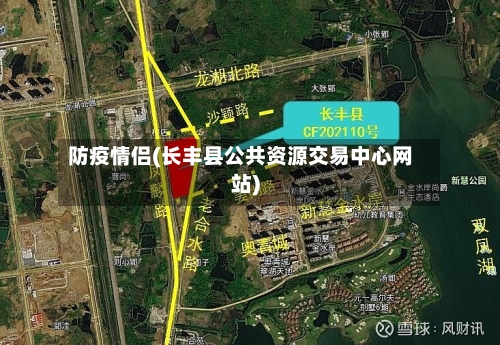 防疫情侣(长丰县公共资源交易中心网站)