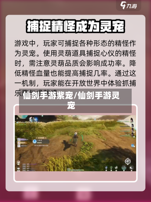 仙剑手游紫宠/仙剑手游灵宠
