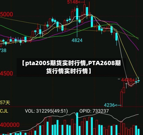 【pta2005期货实时行情,PTA2608期货行情实时行情】-第2张图片
