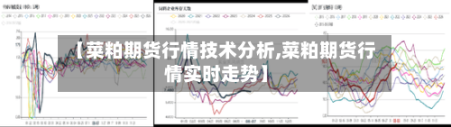 【菜粕期货行情技术分析,菜粕期货行情实时走势】-第2张图片