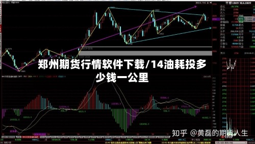 郑州期货行情软件下载/14油耗投多少钱一公里