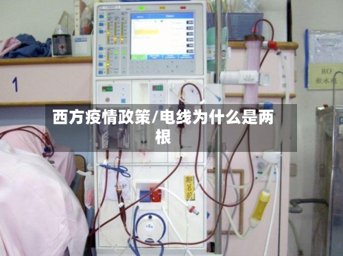 西方疫情政策/电线为什么是两根
