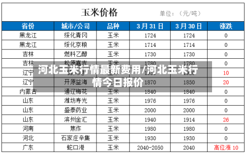 河北玉米行情最新费用/河北玉米行情今日报价-第3张图片
