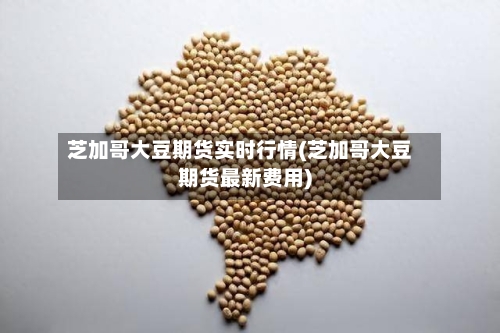 芝加哥大豆期货实时行情(芝加哥大豆期货最新费用)-第2张图片