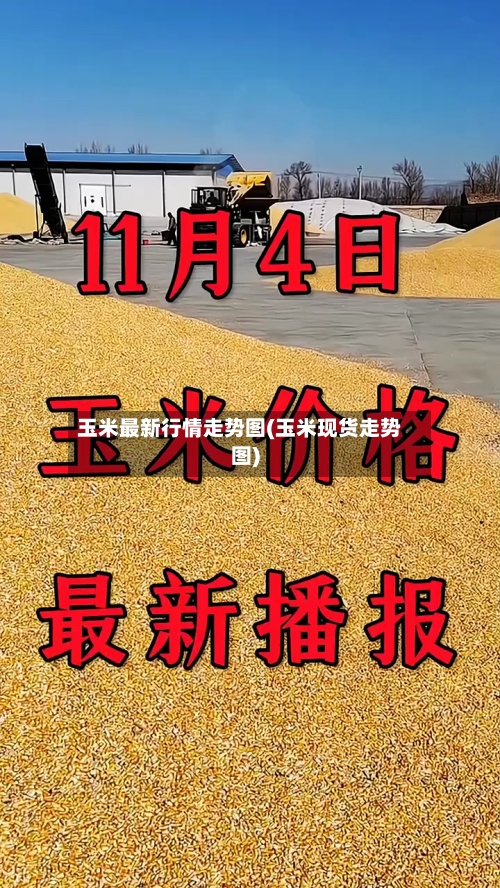 玉米最新行情走势图(玉米现货走势图)-第3张图片