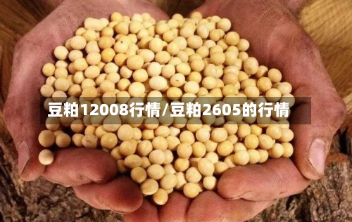 豆粕12008行情/豆粕2605的行情