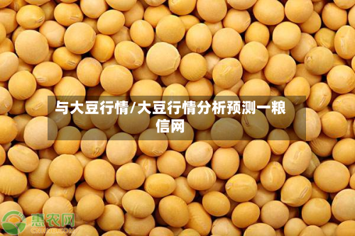 与大豆行情/大豆行情分析预测一粮信网