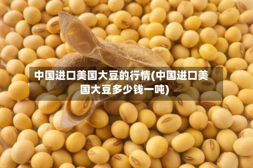 中国进口美国大豆的行情(中国进口美国大豆多少钱一吨)