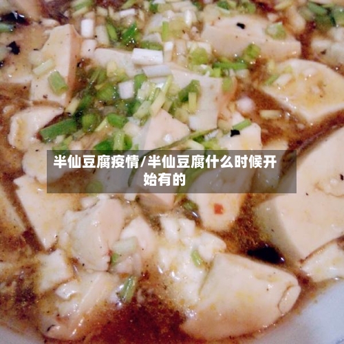 半仙豆腐疫情/半仙豆腐什么时候开始有的-第2张图片