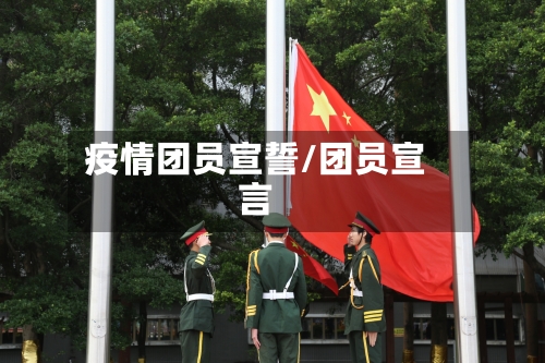 疫情团员宣誓/团员宣言
