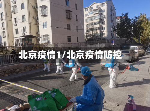 北京疫情1/北京疫情防控