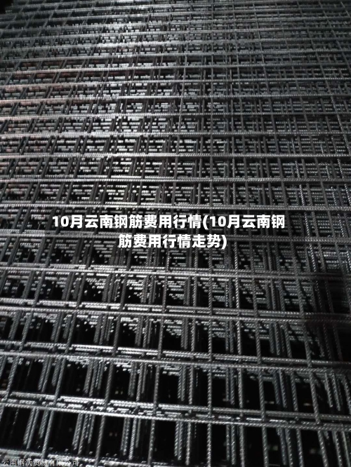 10月云南钢筋费用行情(10月云南钢筋费用行情走势)