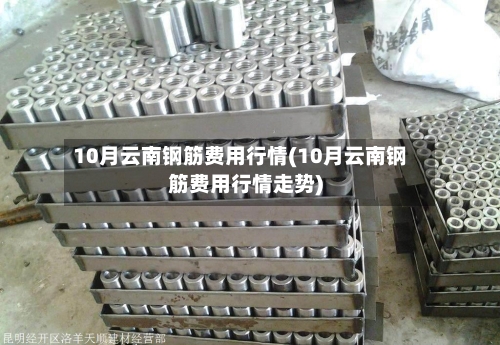 10月云南钢筋费用行情(10月云南钢筋费用行情走势)-第2张图片