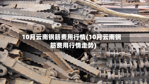 10月云南钢筋费用行情(10月云南钢筋费用行情走势)-第3张图片