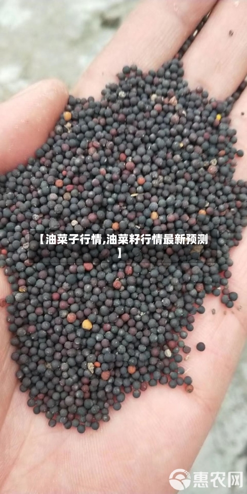【油菜子行情,油菜籽行情最新预测】