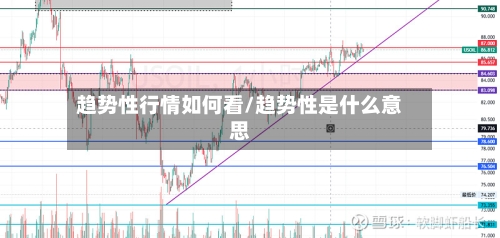 趋势性行情如何看/趋势性是什么意思
