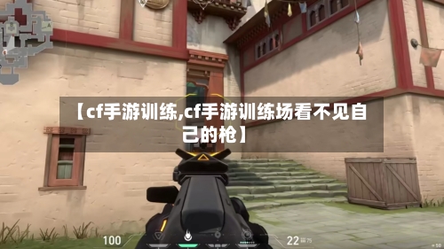 【cf手游训练,cf手游训练场看不见自己的枪】-第2张图片