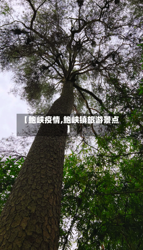 【鲍峡疫情,鲍峡镇旅游景点】-第3张图片