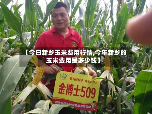 【今日新乡玉米费用行情,今年新乡的玉米费用是多少钱】
