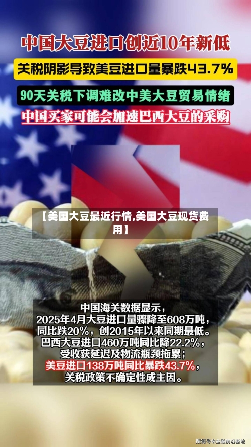 【美国大豆最近行情,美国大豆现货费用】
