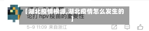【湖北疫情根源,湖北疫情怎么发生的】