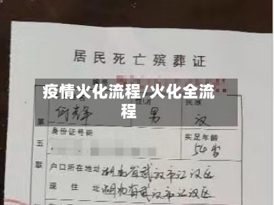 疫情火化流程/火化全流程