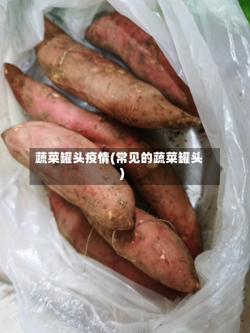 蔬菜罐头疫情(常见的蔬菜罐头)