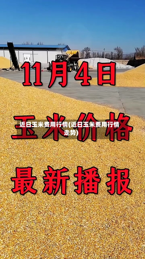 近日玉米费用行情(近日玉米费用行情走势)-第2张图片