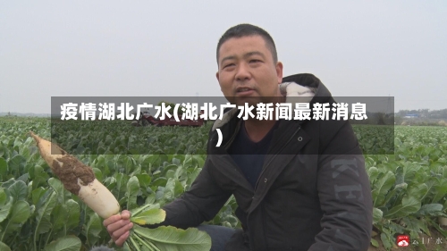 疫情湖北广水(湖北广水新闻最新消息)